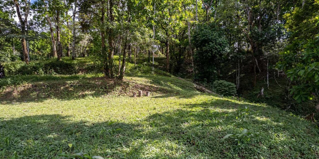 High Potential Land Opportunity near Santa Teresa — photo
