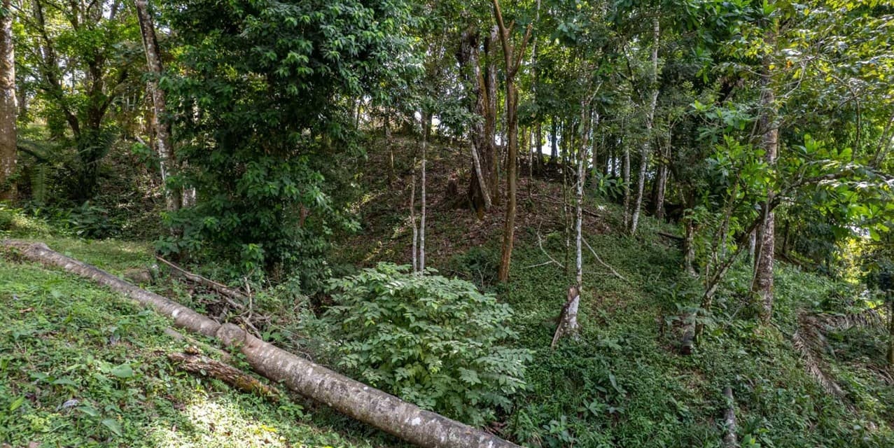 High Potential Land Opportunity near Santa Teresa — photo