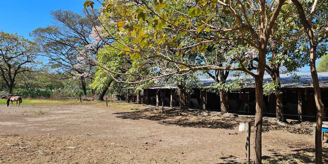 Hacienda Canal Real in Cañas Guanacaste — photo