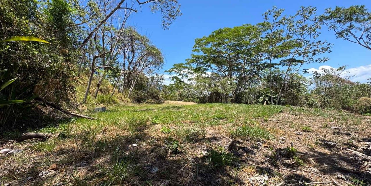 Private Oceanview Land Opportunity in Brisas del Cabo — photo
