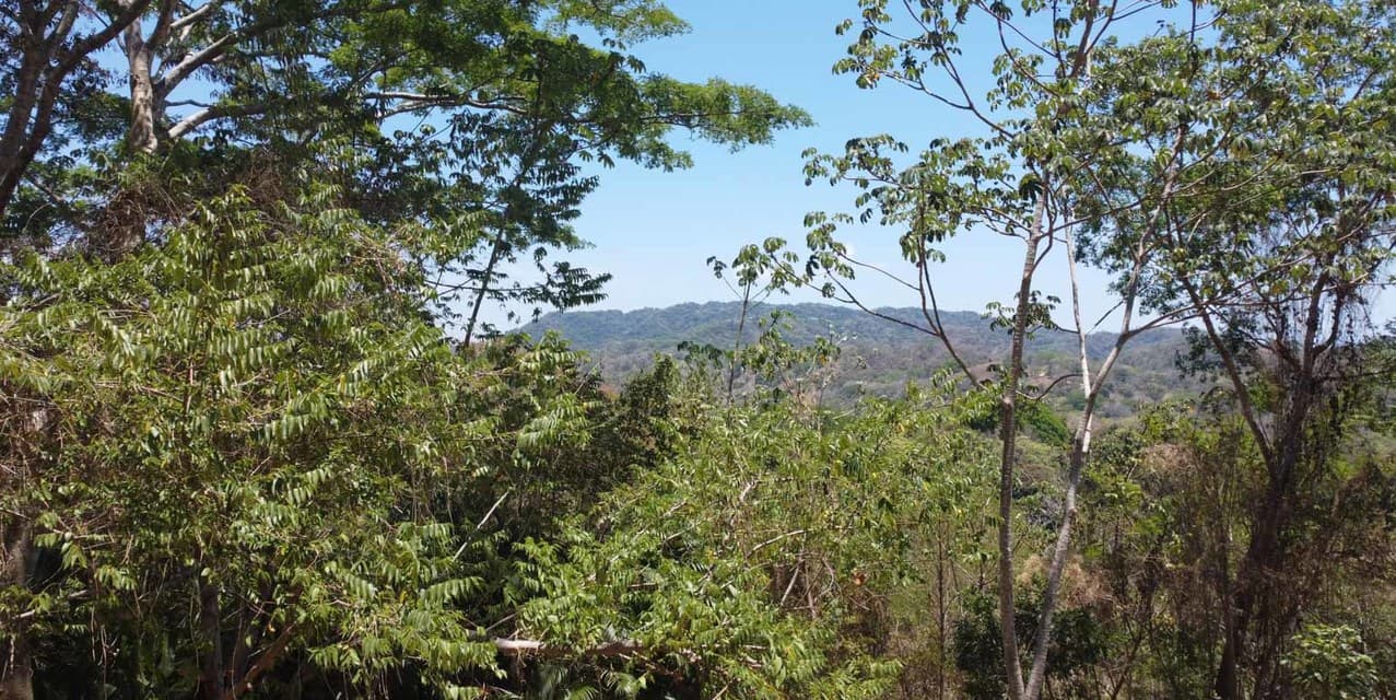 Private Oceanview Land Opportunity in Brisas del Cabo — photo