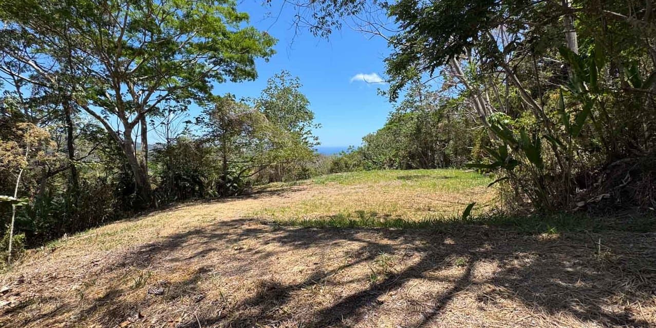 Private Oceanview Land Opportunity in Brisas del Cabo — photo