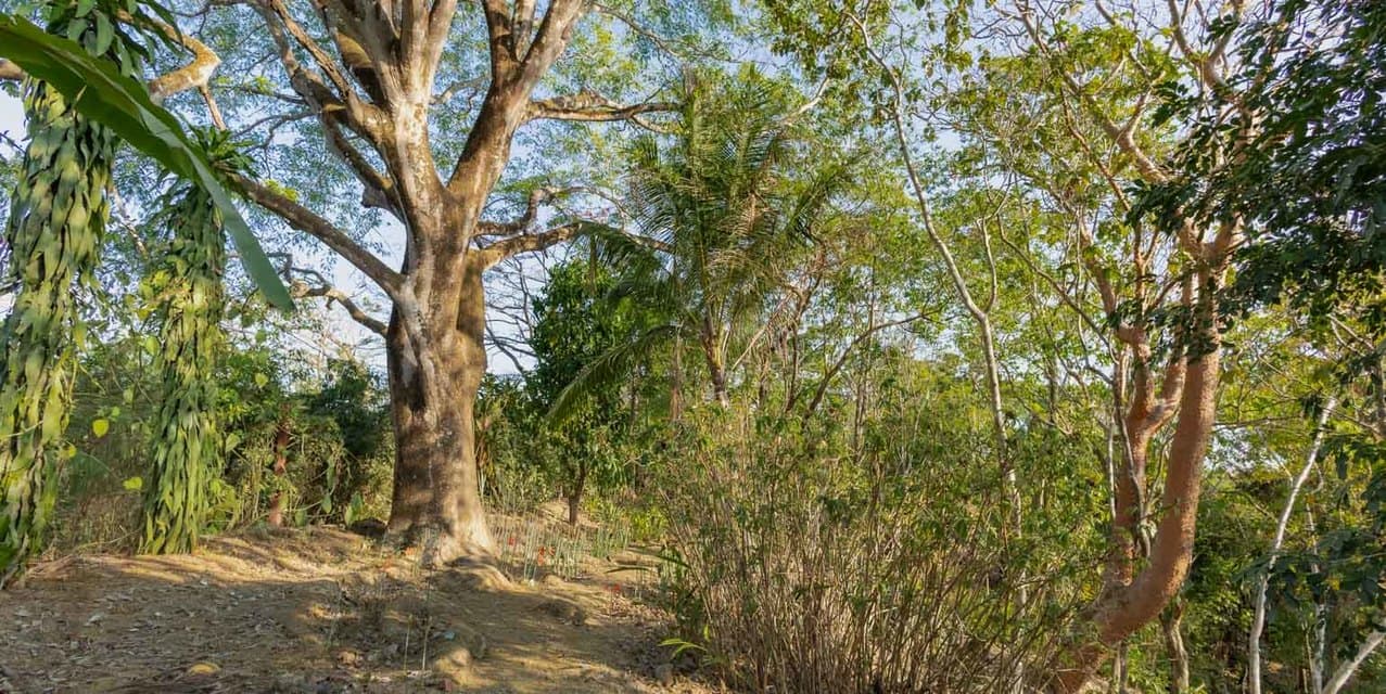 Ocean View Mixed-Use Land in Santiago — photo