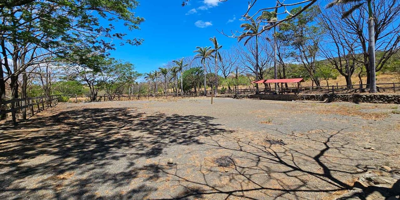 Finca Ganadera SP en Cañas — photo