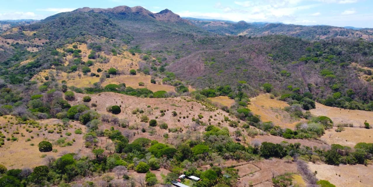 Finca Ganadera SP en Cañas — photo