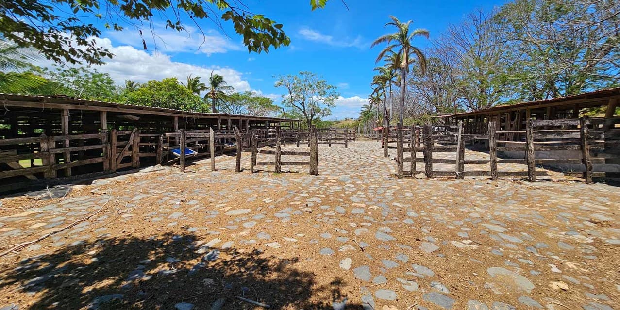 Finca Ganadera SP en Cañas — photo
