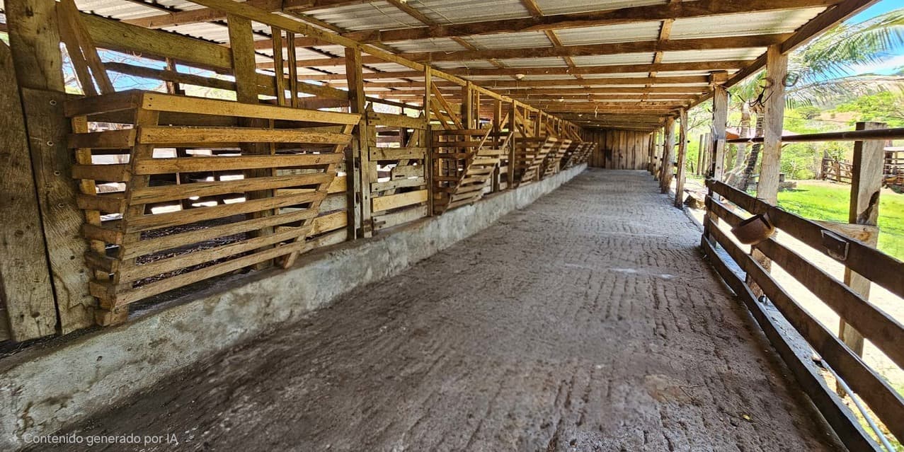 Finca Ganadera SP en Cañas — photo