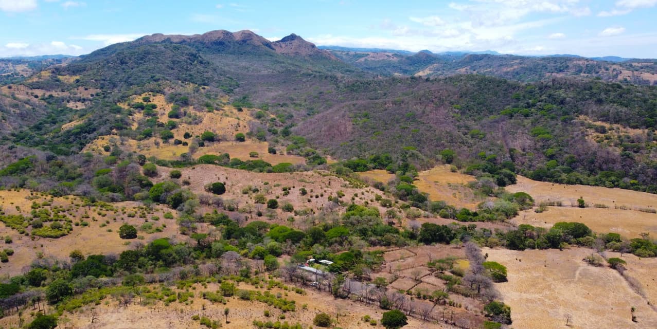 Finca Ganadera SP en Cañas — photo