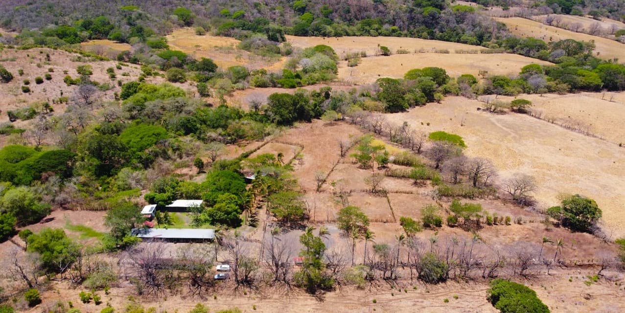 Finca Ganadera SP en Cañas — photo