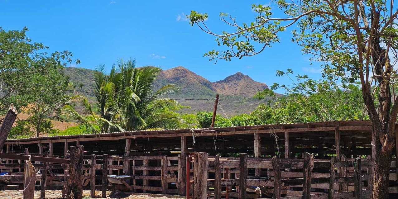 Finca Ganadera SP en Cañas — photo