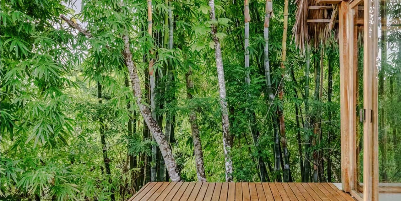 Stunning Oceanview Surf Residences in Santa Teresa — photo