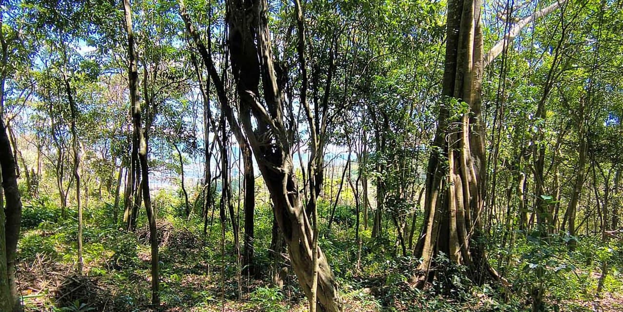 Lote San Antonio de Escazú — photo