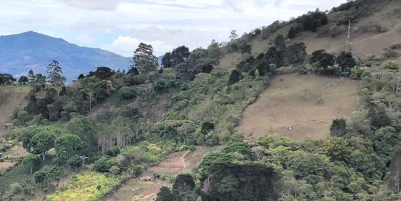 Lote San Antonio de Escazú — photo
